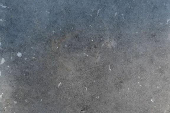 Казино Койнс Гейм Поддръжка